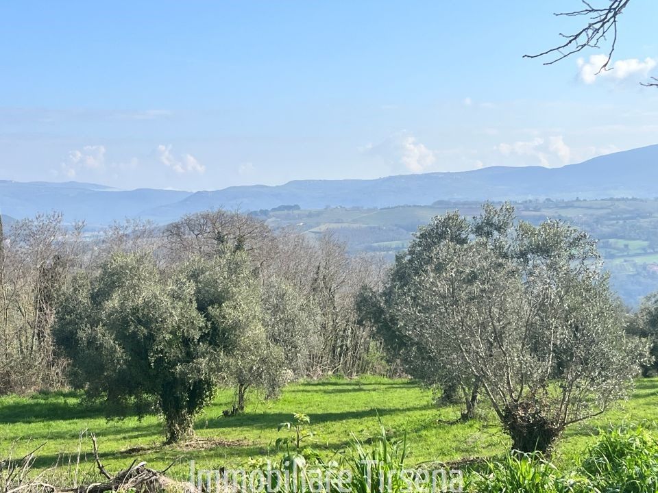 Gårdshus i Orvieto, Terni - bilde 4
