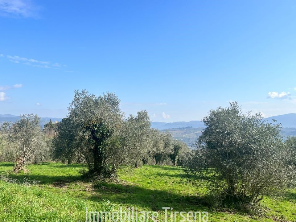 Gårdshus i Orvieto, Terni - bilde 5