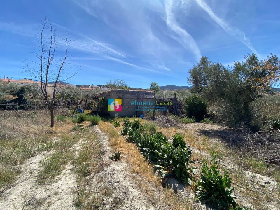 Landejendom i Tijola, Almeria - foto 1
