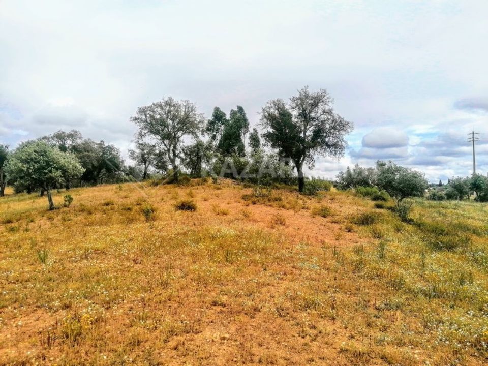 Helårsgrund i Ourique, Beja - foto 5