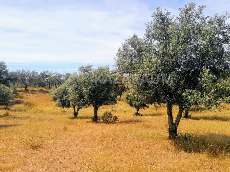 Helårsgrund i Ourique, Beja - foto 2
