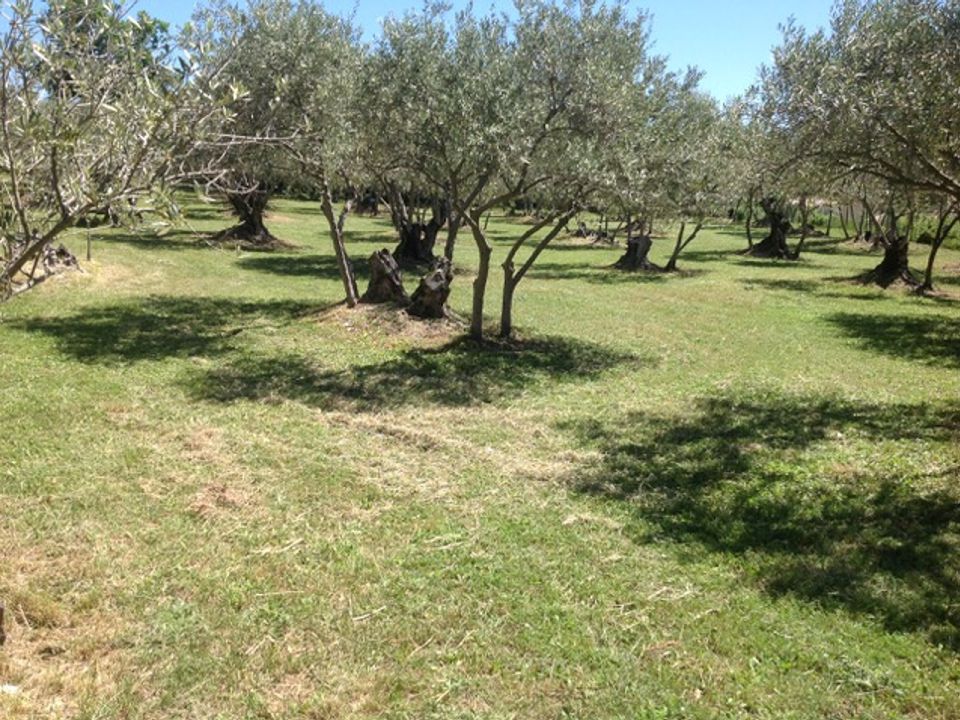 Villa i Manosque, Alpes-de-Haute-Provence - foto 5