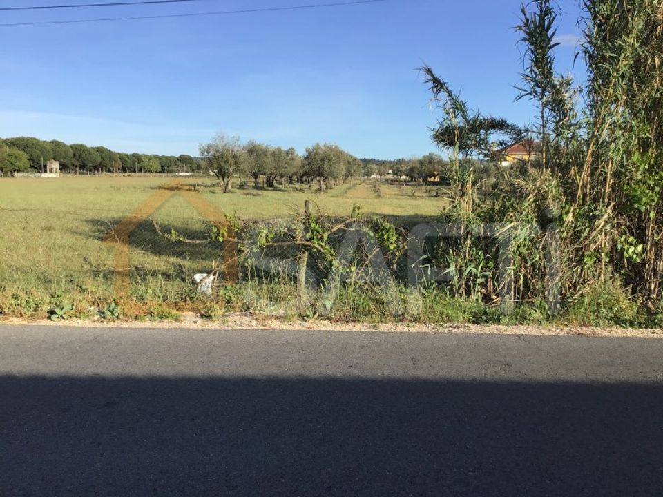 Helårsgrund i Abrantes, Santarem - foto 4