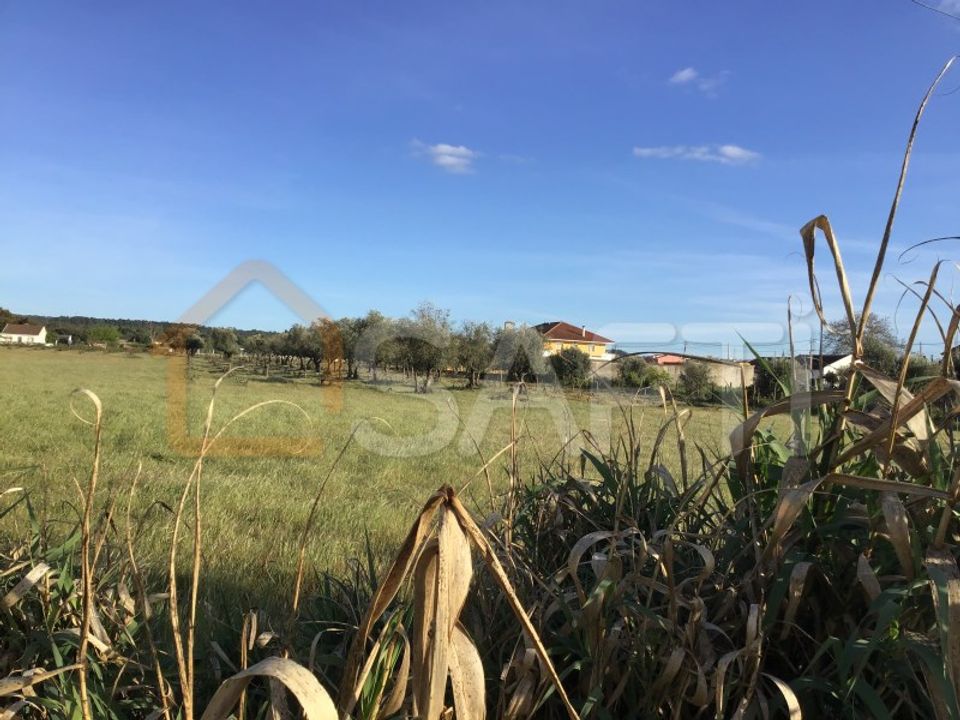 Helårsgrund i Abrantes, Santarem - foto 5