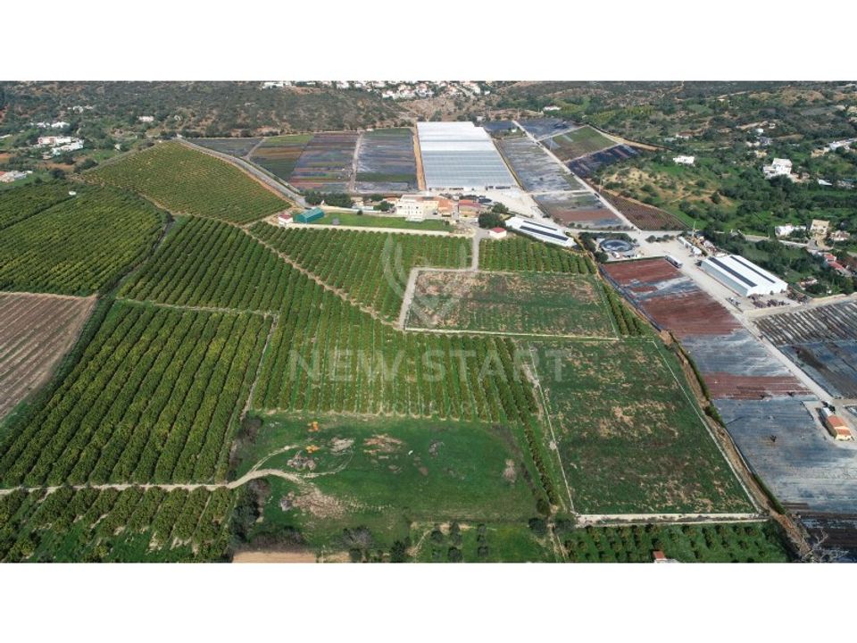 Farm i Quelfes, Faro - foto 1