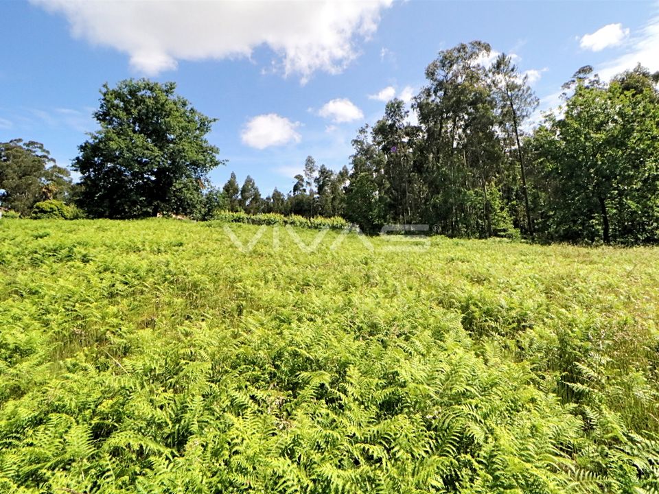 Helårsgrund i Vila Verde, Braga - foto 4