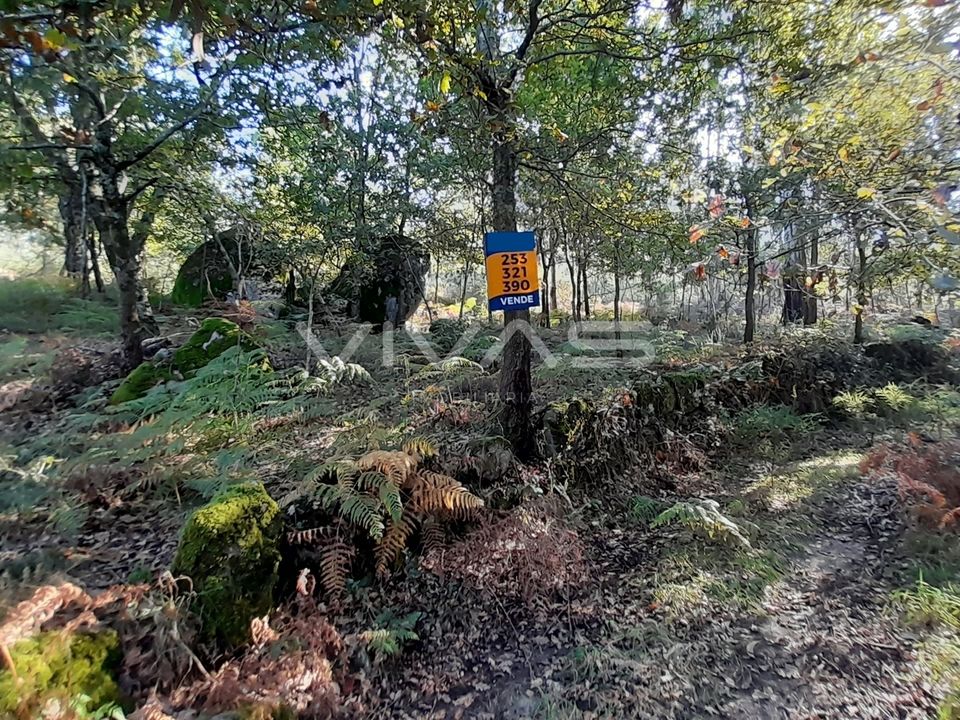 Helårsgrund i Amares, Braga - foto 1