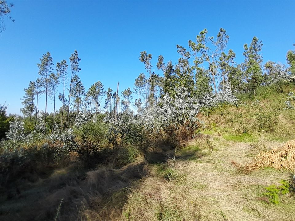 Helårsgrund i Amares, Braga - foto 3
