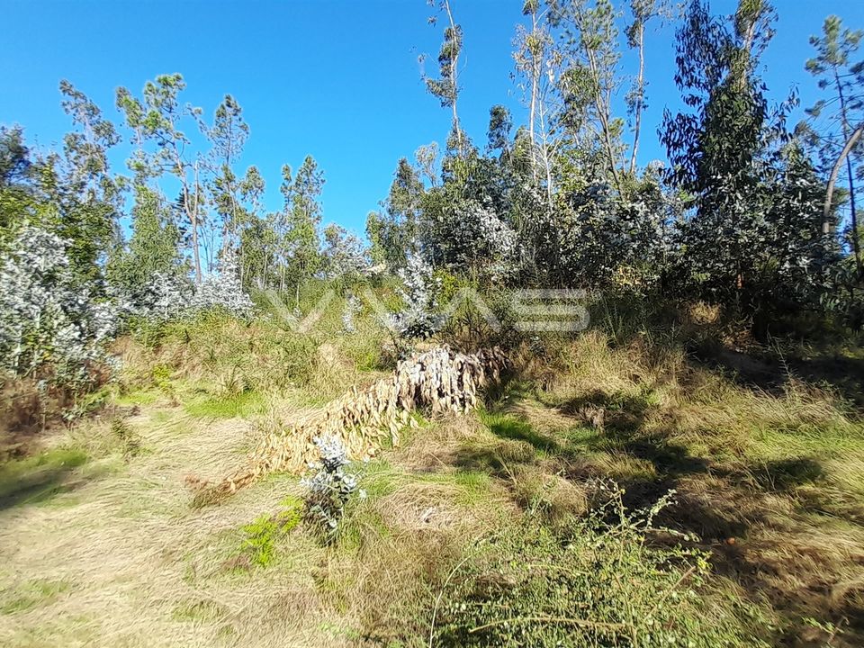 Helårsgrund i Amares, Braga - foto 4