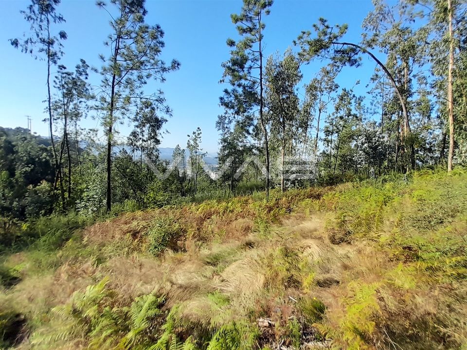 Helårsgrund i Amares, Braga - foto 5