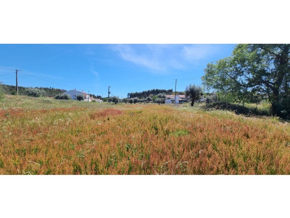 Tomt i Gaviao, Portalegre - bilde 4