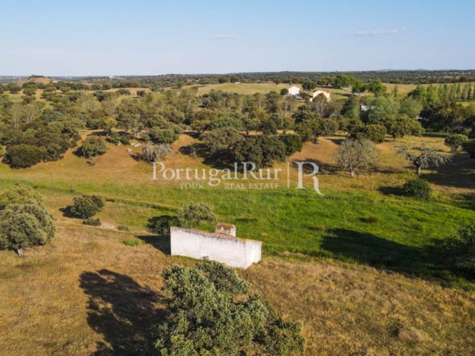 Landejendom i Avis, Portalegre - foto 2