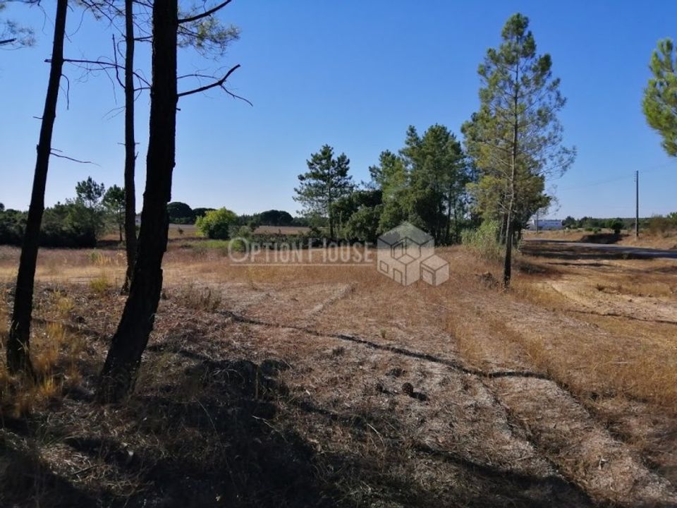 Helårsgrund i Coruche, Santarem - foto 1