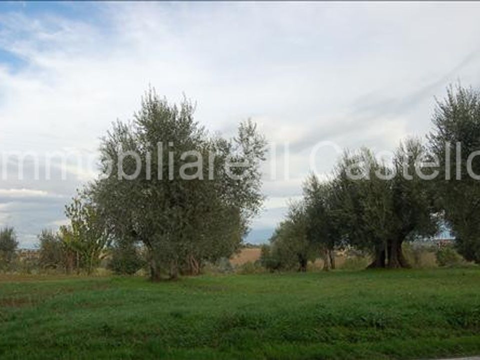 Terra a Castiglione del Lago, Perugia - foto 1