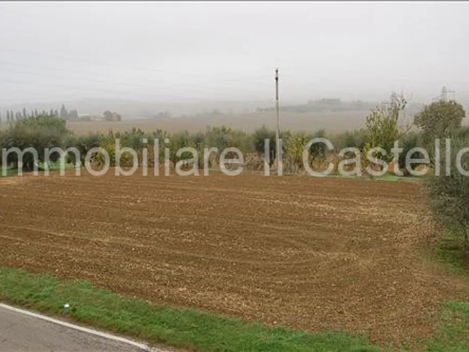 Terra a Castiglione del Lago, Perugia - foto 2