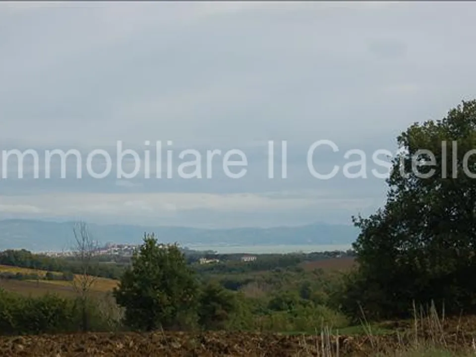 Terra a Castiglione del Lago, Perugia - foto 3