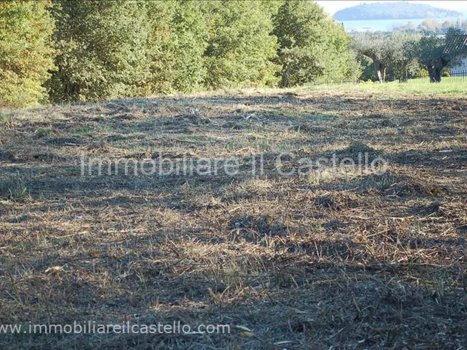 Helårsgrund i Tuoro sul Trasimeno, Perugia - foto 3