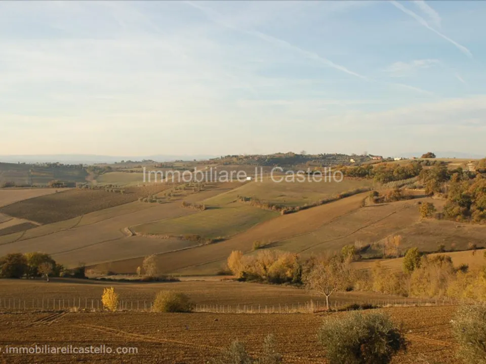 Grond in Castiglione del Lago, Perugia - foto 2