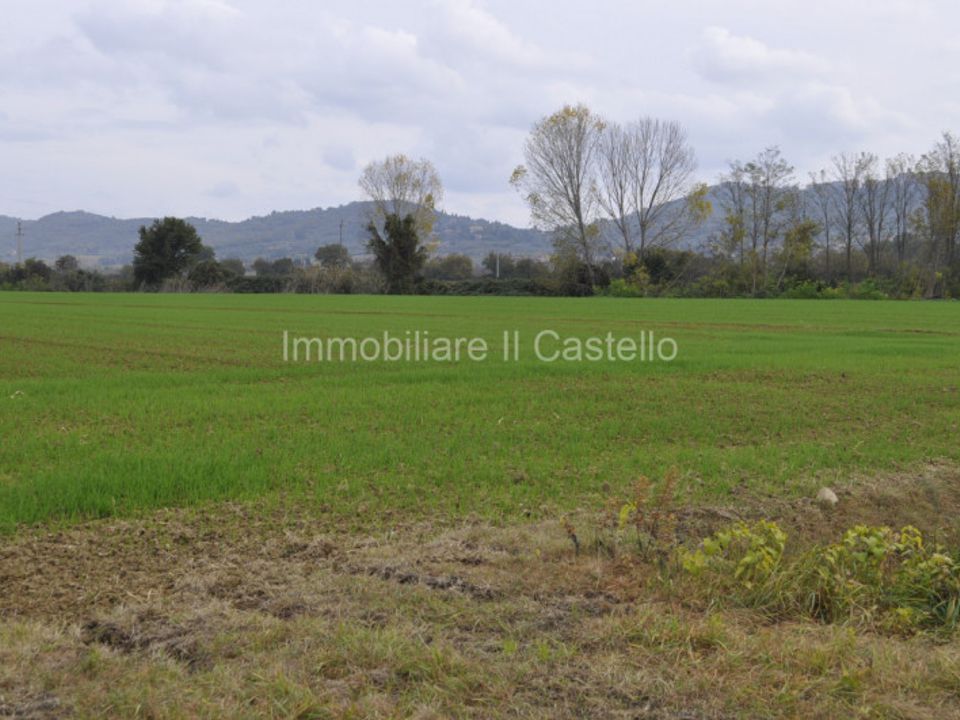 Helårsgrund i Castiglione del Lago, Perugia - foto 3