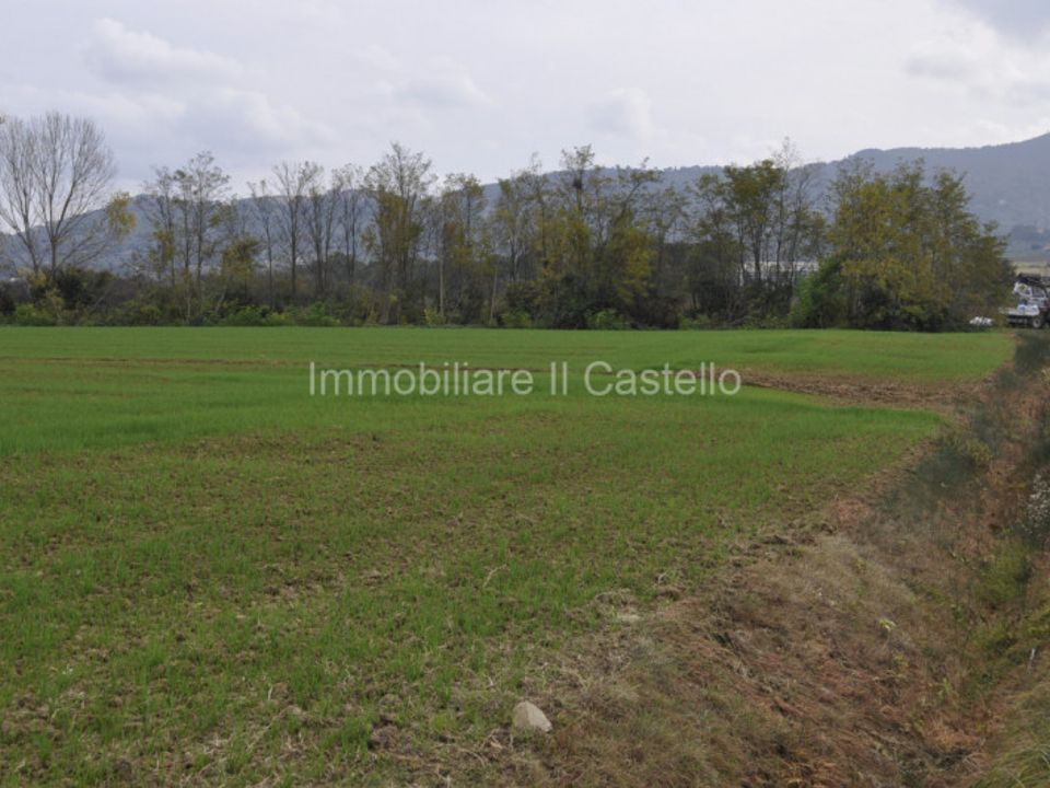 Helårsgrund i Castiglione del Lago, Perugia - foto 4