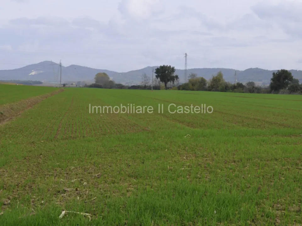 Helårsgrund i Castiglione del Lago, Perugia - foto 5