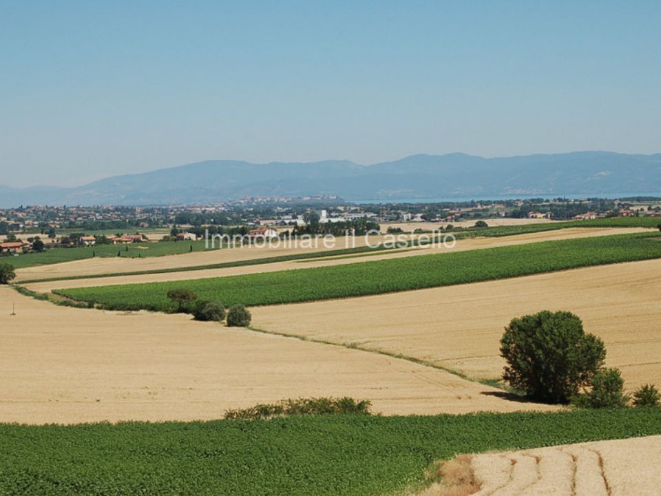 Helårsgrund i Paciano, Perugia - foto 4