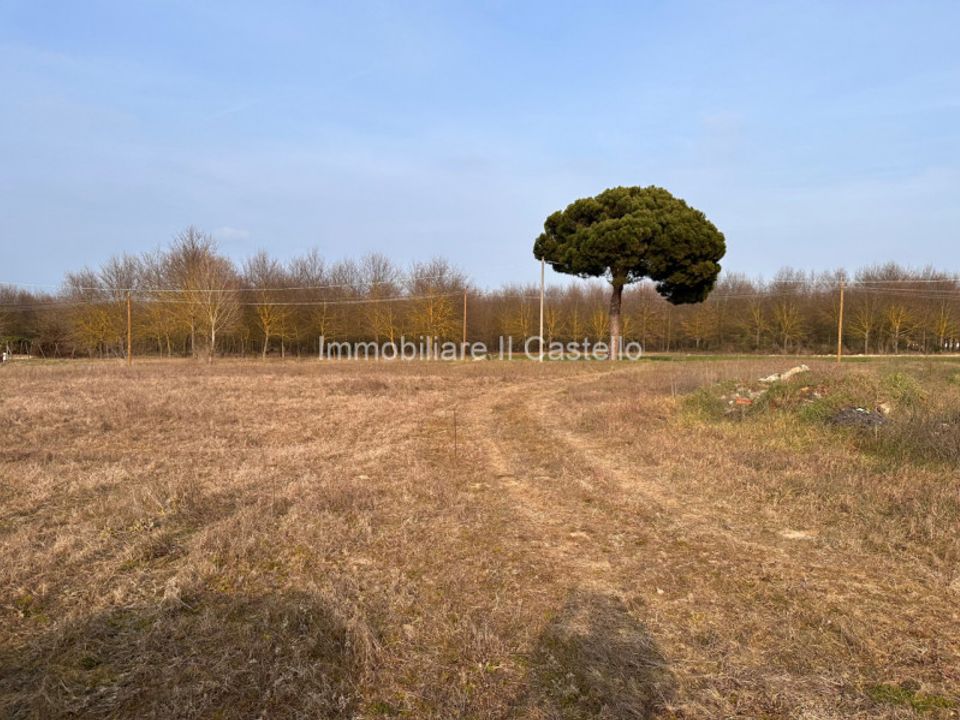 Tomt i Castiglione del Lago, Perugia - bilde 1