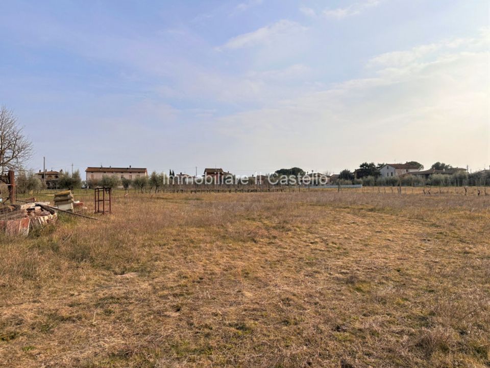 Tomt i Castiglione del Lago, Perugia - bilde 3