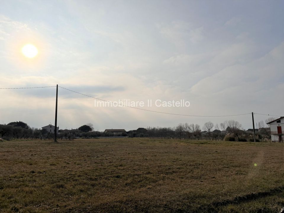 Tomt i Castiglione del Lago, Perugia - bilde 4