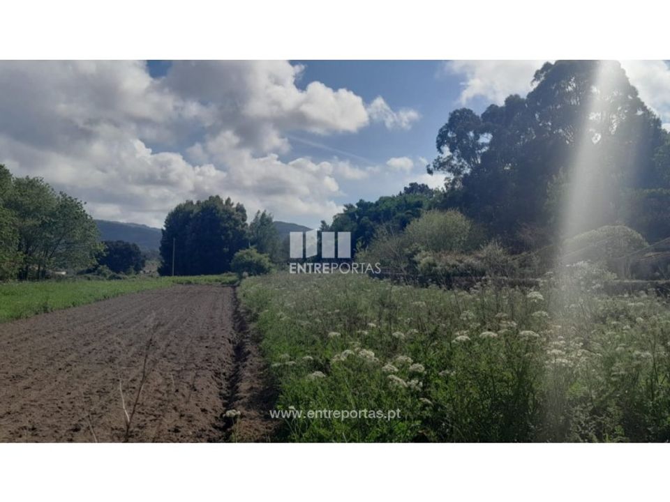 Helårsgrund i Vila Praia de Ancora, Viana do Castelo - foto 4