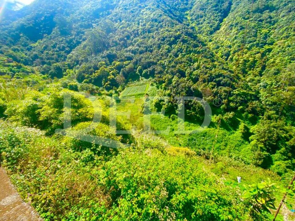Helårsgrund i Machico, Madeira - foto 1