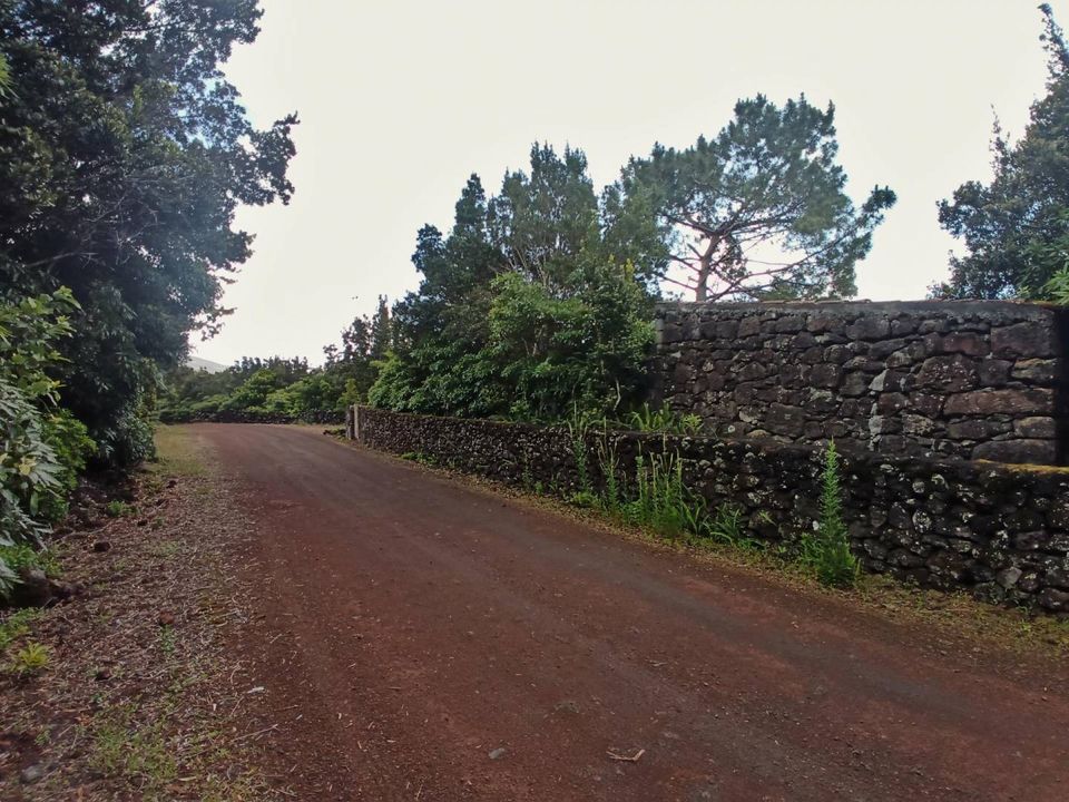 Landejendom i Madalena, Pico - foto 4