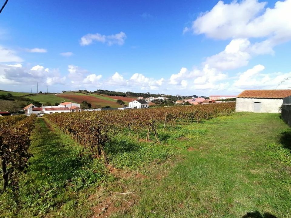 Helårsgrund i Carvalhal, Leiria - foto 4