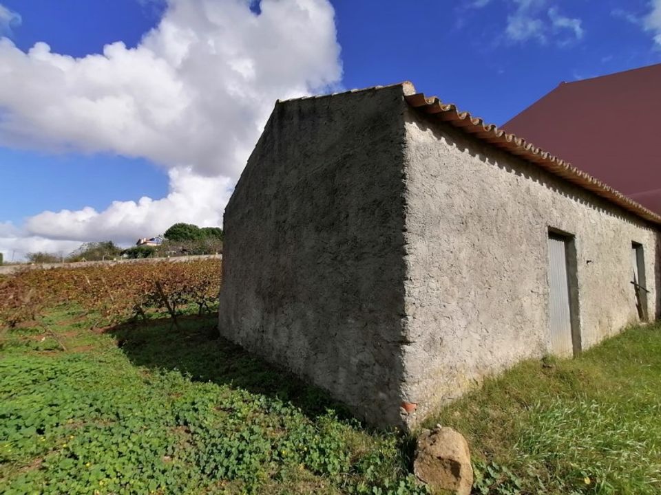 Helårsgrund i Carvalhal, Leiria - foto 3