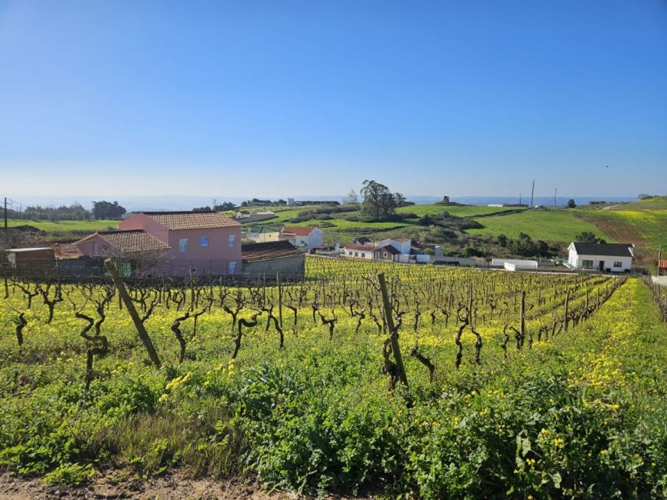 Helårsgrund i Carvalhal, Leiria - foto 1