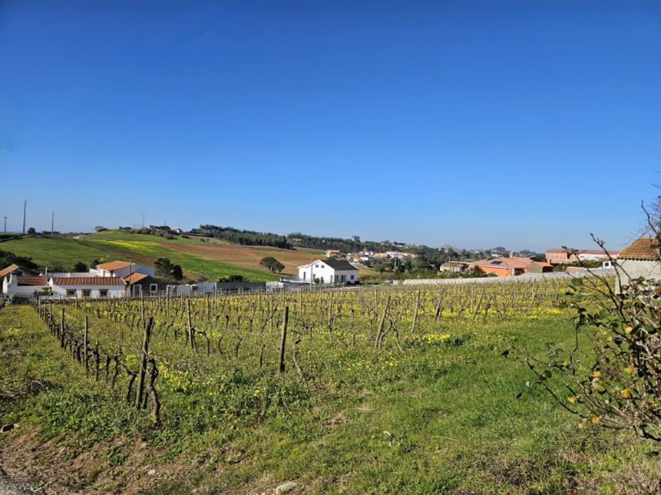 Helårsgrund i Carvalhal, Leiria - foto 2