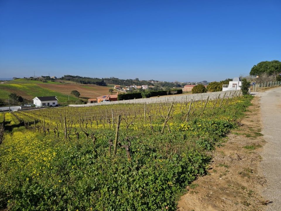 Helårsgrund i Carvalhal, Leiria - foto 5