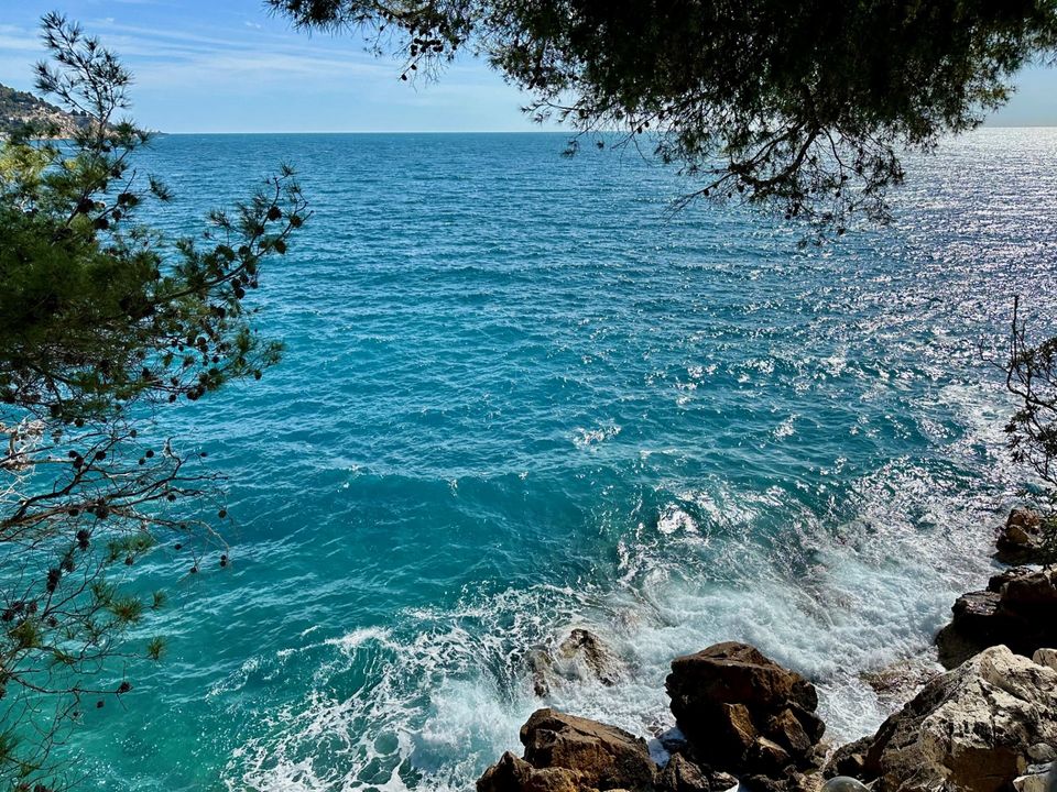 Villa i Eze, Alpes-Maritimes - foto 2