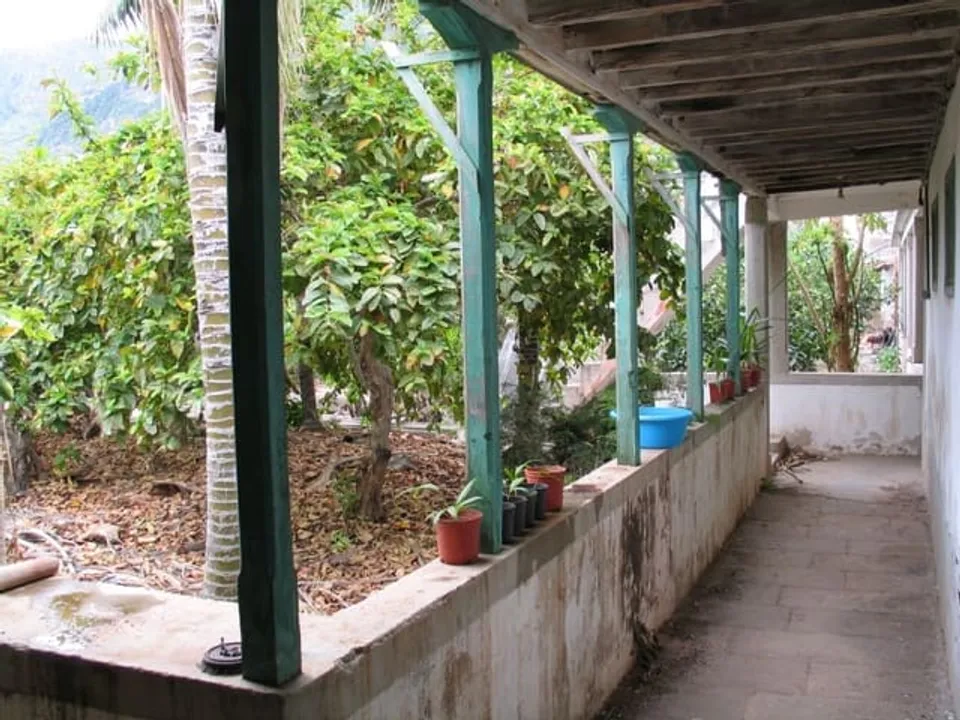 Finca i Garachico, Tenerife - foto 5