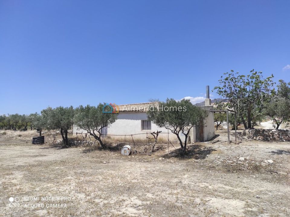 Landejendom i Lucar, Almeria - foto 1