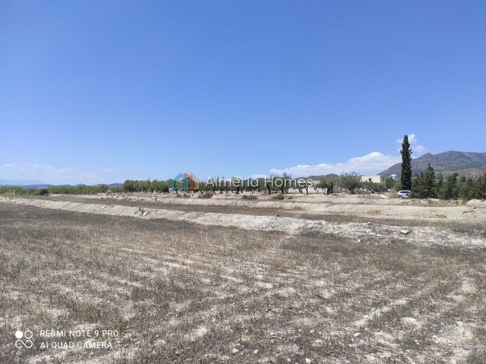 Landejendom i Lucar, Almeria - foto 4