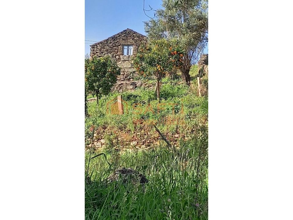 Ruinere i Ceivaes e Badim, Viana do Castelo - foto 3