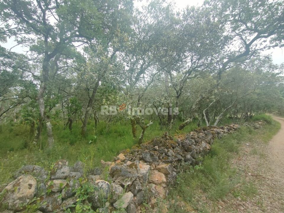 Helårsgrund i Tomar, Santarem - foto 1