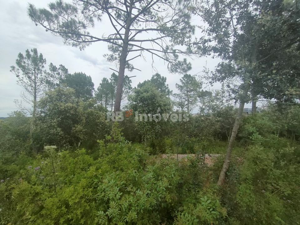 Helårsgrund i Tomar, Santarem - foto 4