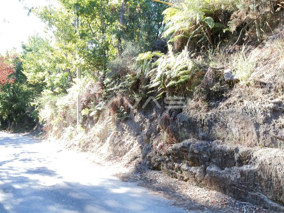 Helårsgrund i Vila Verde, Braga - foto 2