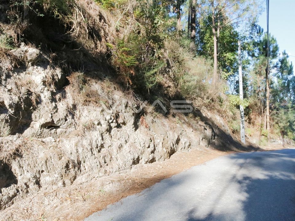 Helårsgrund i Vila Verde, Braga - foto 4