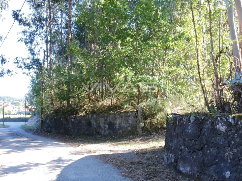 Helårsgrund i Vila Verde, Braga - foto 5