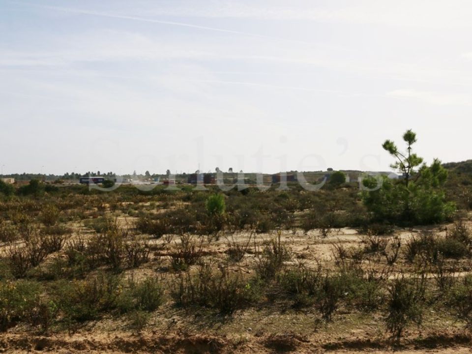 Erhvervsejendom i Ermidas do Sado, Setubal - foto 4