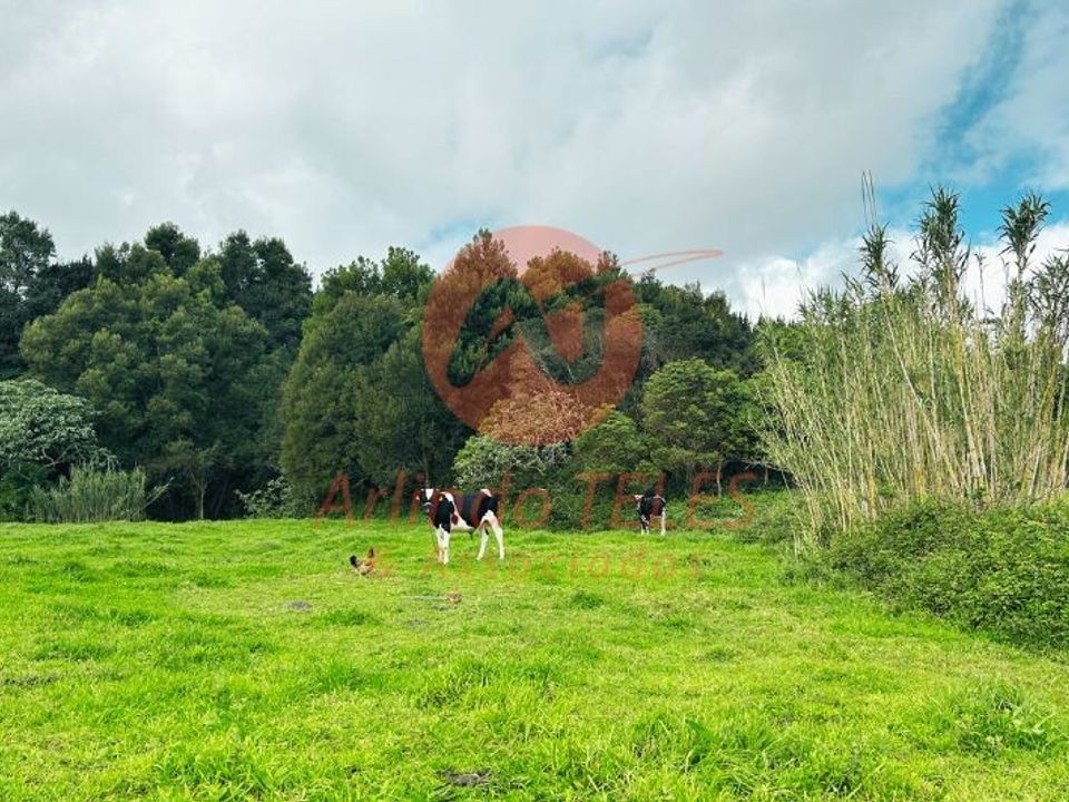 Helårsgrund i Vila da Praia da Vitoria, Terceira - foto 4