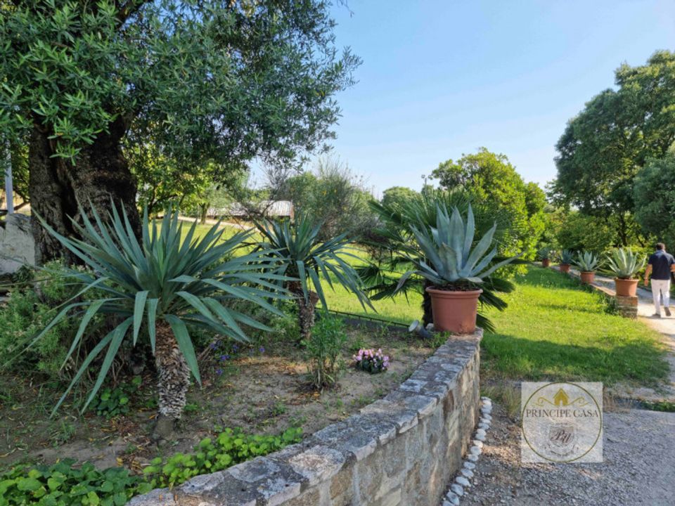 Grond in Baone, Padua - foto 4